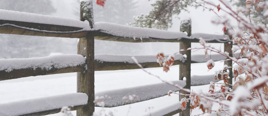 snow fence image slide